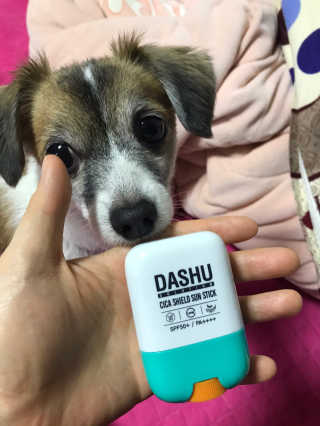 다슈코리아 다슈 솔루션 시카 쉴드 선스틱 — 5점을 준 리뷰어가 2020년 2월 올린 사용 사진