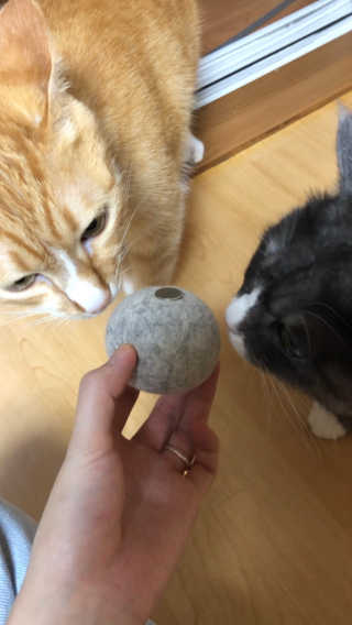 berryjjung님이 올린 리뷰 사진 3