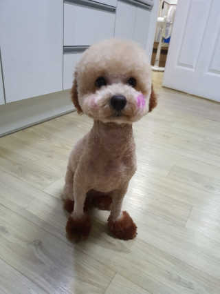 예림이그램님이 올린 리뷰 사진 1