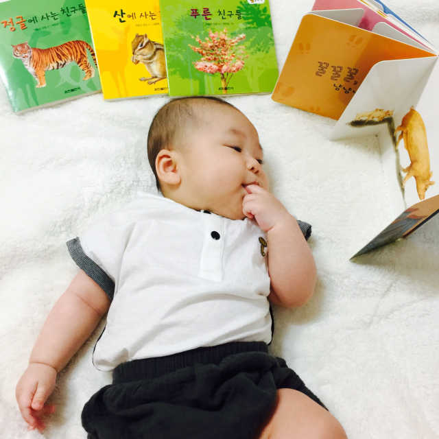 세밀화 첫 놀이책 리뷰 사진
