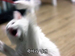 iamB님이 올린 리뷰 사진 2