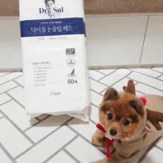 은선이짱님이 올린 리뷰 사진 1
