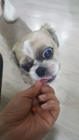 HyeongGeunOh님이 올린 리뷰 사진 1