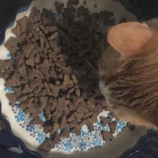 안녕소호님이 올린 리뷰 사진 4