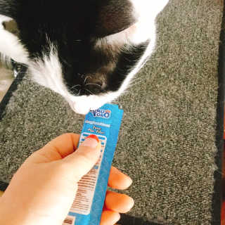 냐냐님이 올린 리뷰 사진 2