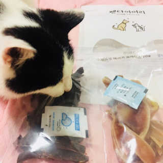 한라봉님이 올린 리뷰 사진 1