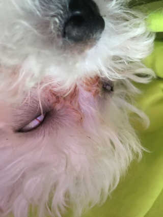 박주승님이 올린 리뷰 사진 2