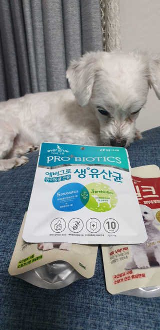 [빙그레] 에버그로 생유산균 1봉（10포입）+펫밀크2팩 — 5점을 준 리뷰어가 2019년 5월 올린 사용 사진