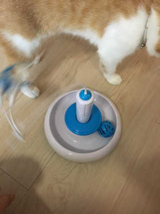 쿠키순대맘님이 올린 리뷰 사진 3