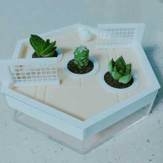 도담님이 올린 리뷰 사진 4