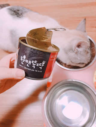 [펫토리아] BEST 한캔뚝딱 고양이 주식캔 — 5점을 준 리뷰어가 2019년 3월 올린 사용 사진