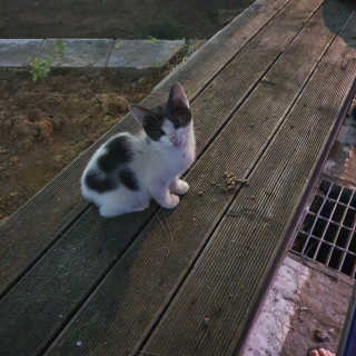 순심이님이 올린 리뷰 사진 1