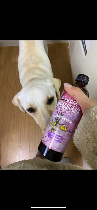 persona님이 올린 리뷰 사진 1