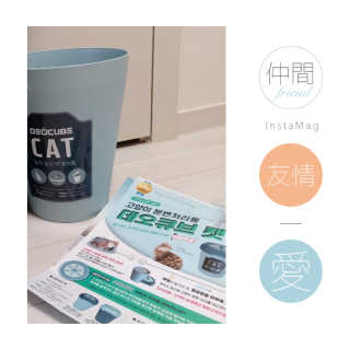 통통이님이 올린 리뷰 사진 3