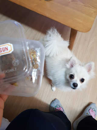 현연설이맘님이 올린 리뷰 사진 1