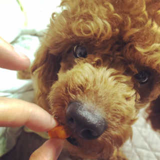 칸쵸님이 올린 리뷰 사진 1
