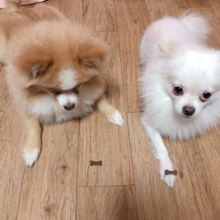 영블리님이 올린 리뷰 사진 4