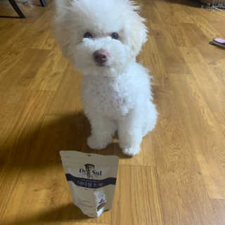 찐멍멍이님이 올린 리뷰 사진 2
