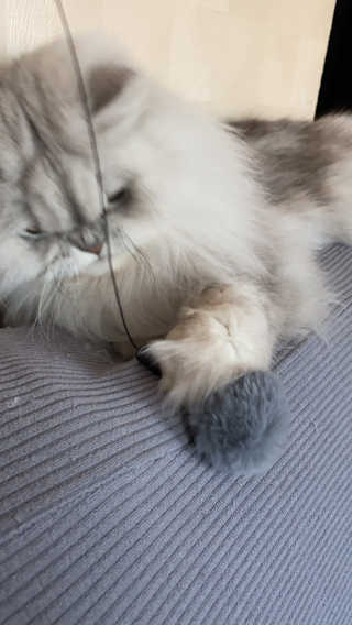 럽S하3님이 올린 리뷰 사진 3
