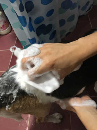 renejigu님이 올린 리뷰 사진 3