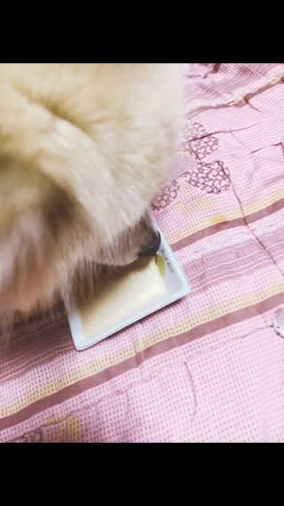 은세님이 올린 리뷰 사진 2