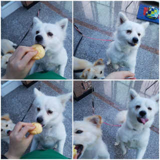 쪼꼬밍💖님이 올린 리뷰 사진 1