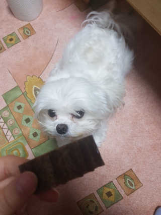 흐겸소님이 올린 리뷰 사진 3