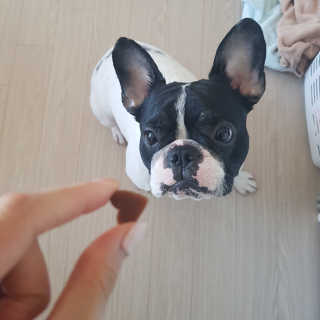 후기의신님이 올린 리뷰 사진 1