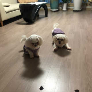 임보혜님이 올린 리뷰 사진 4