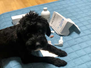 유짱님이 올린 리뷰 사진 3
