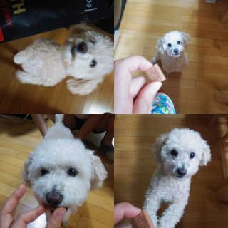 이린님이 올린 리뷰 사진 1