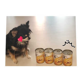 [펫토리아]배피 고양이,빌리강아지 대용량주식캔 — 5점을 준 리뷰어가 2019년 7월 올린 사용 사진