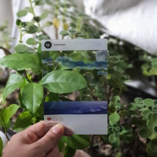 리캘님이 올린 리뷰 사진 2