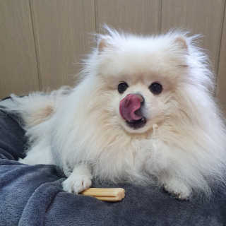 치리짱님이 올린 리뷰 사진 3
