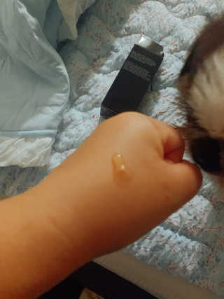 짱츄들님이 올린 리뷰 사진 3