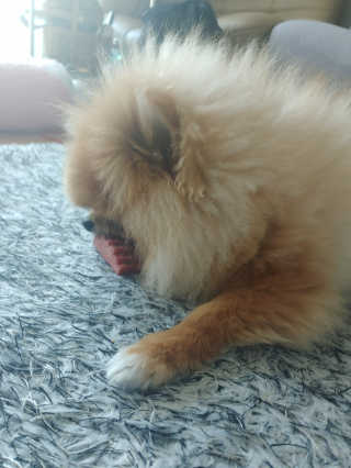 max님이 올린 리뷰 사진 3