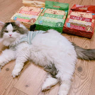 눌222님이 올린 리뷰 사진 1