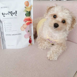 백설님이 올린 리뷰 사진 1
