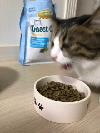 글라라5205님이 올린 리뷰 사진 4