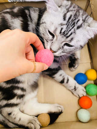 이하양님이 올린 리뷰 사진 2