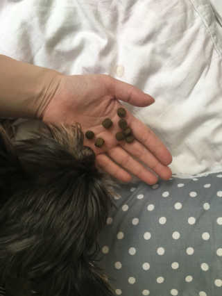 미미님이 올린 리뷰 사진 2