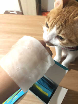 JihyeCheong님이 올린 리뷰 사진 3