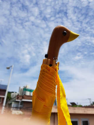 dewwwww님이 올린 리뷰 사진 1