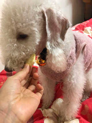 박상희님이 올린 리뷰 사진 3