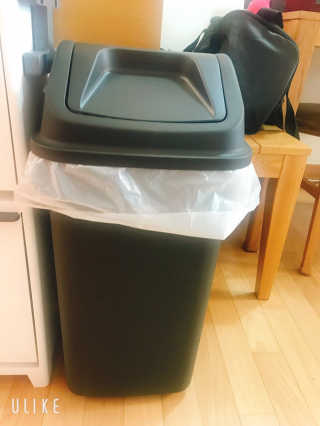 창신리빙 프랑코 퍼블릭 스윙 휴지통 10L, 25L, 35L — 5점을 준 리뷰어가 2019년 9월 올린 사용 사진