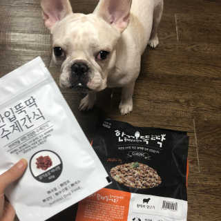 불독키우는개엄마❤️님이 올린 리뷰 사진 3