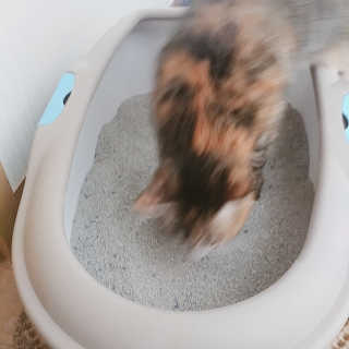 단비님이 올린 리뷰 사진 2