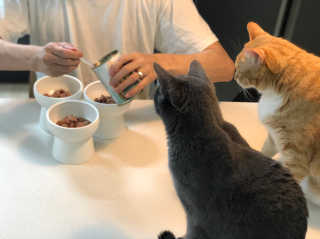 율콩밤님이 올린 리뷰 사진 2