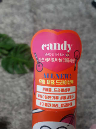해피바이스러스님이 올린 리뷰 사진 3