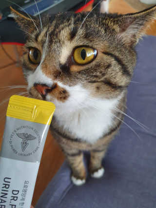 ghkwlsssss님이 올린 리뷰 사진 2